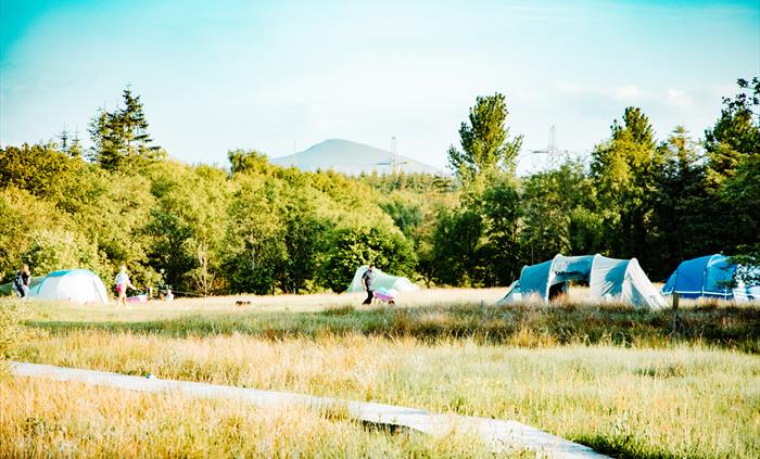 Camping area with long grass, few pitched tents, and boardwalk over the marsh